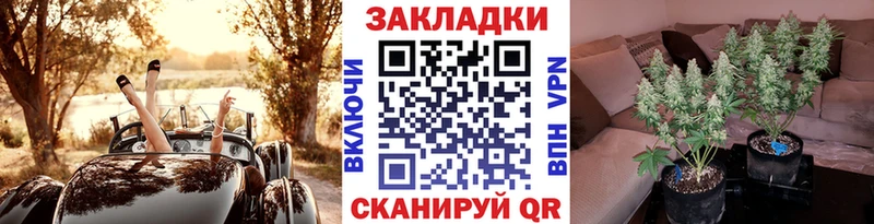 Где найти наркотики Ершов Конопля  МЕФ  КОКАИН  A-PVP  Гашиш 
