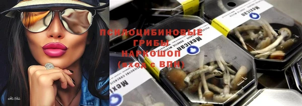 ECSTASY Сосновоборск