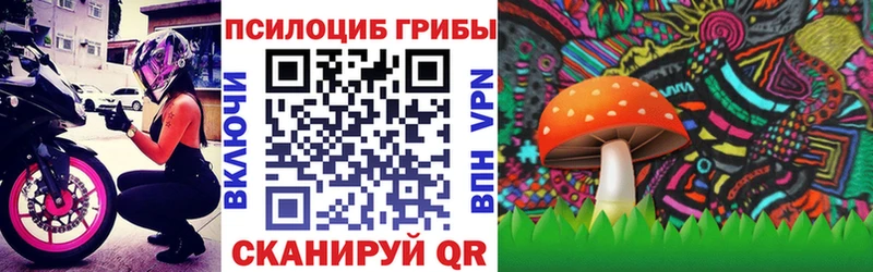 где можно купить наркотик  Ершов  Псилоцибиновые грибы MAGIC MUSHROOMS 